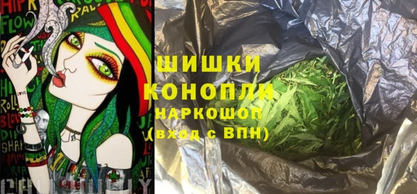 тгк Арсеньев