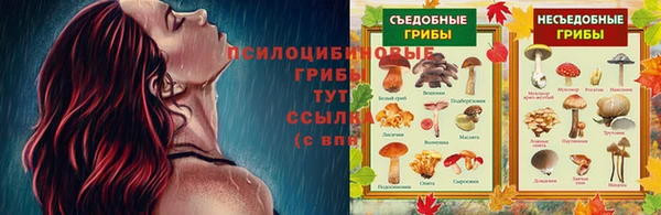 тгк Арсеньев